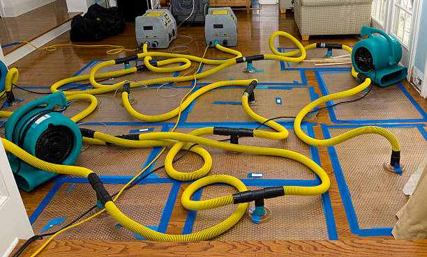 Professional Crawl Space Water Removal technician working in Rosewood, OH